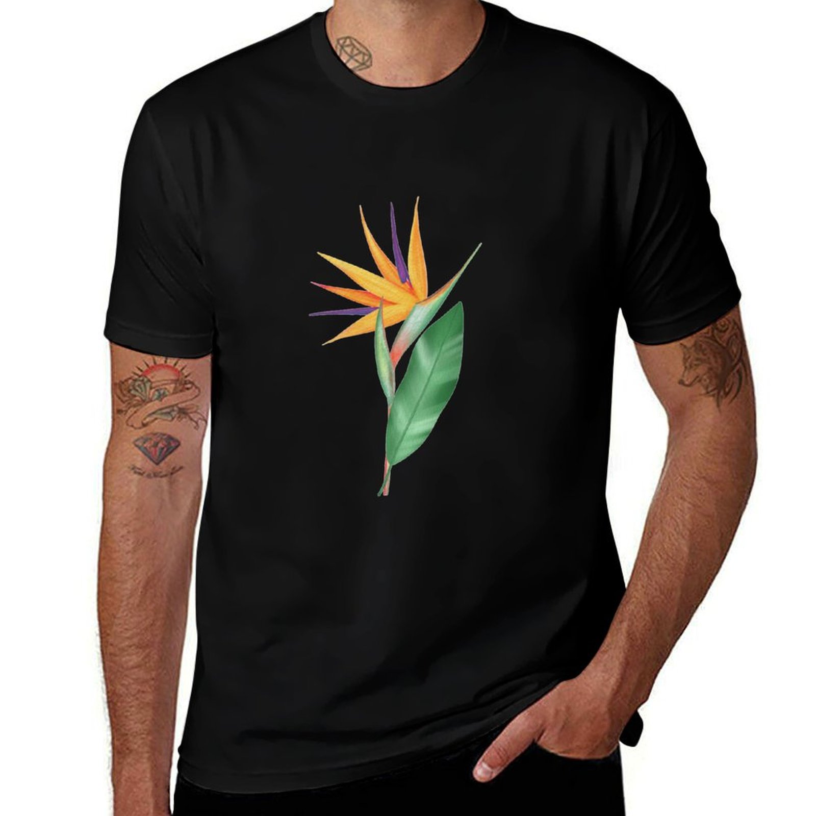 Bird Paradise Strelitzia - Suluboya cennet kuşu çiçeği veya strelitzia