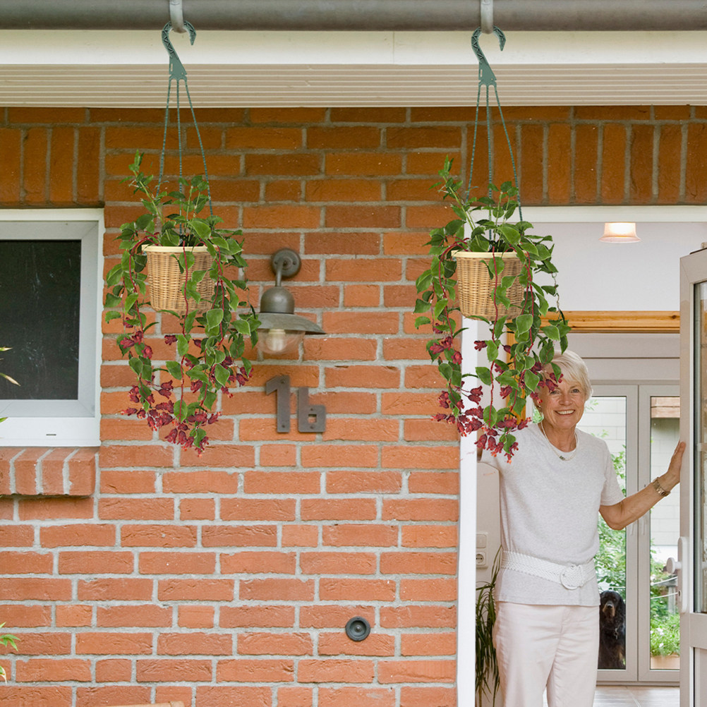Spider Plant Hanging - 5 adet asılı saksı kancaları çok