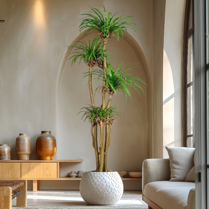 İç/Dış Mekan Ev Ağacı Simüle E - Dracaena Marginata incelemesi ve fiyatı