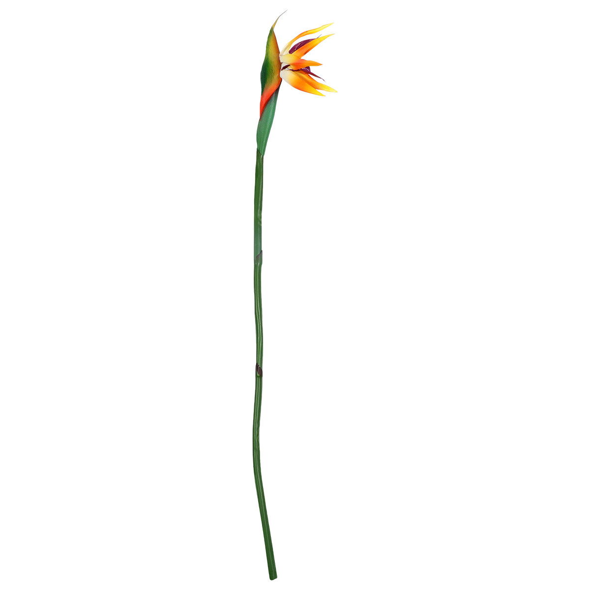 Yapay Strelitzia Çiçeği Gerçek - Bird Paradise Strelitzia incelemesi ve fiyatı