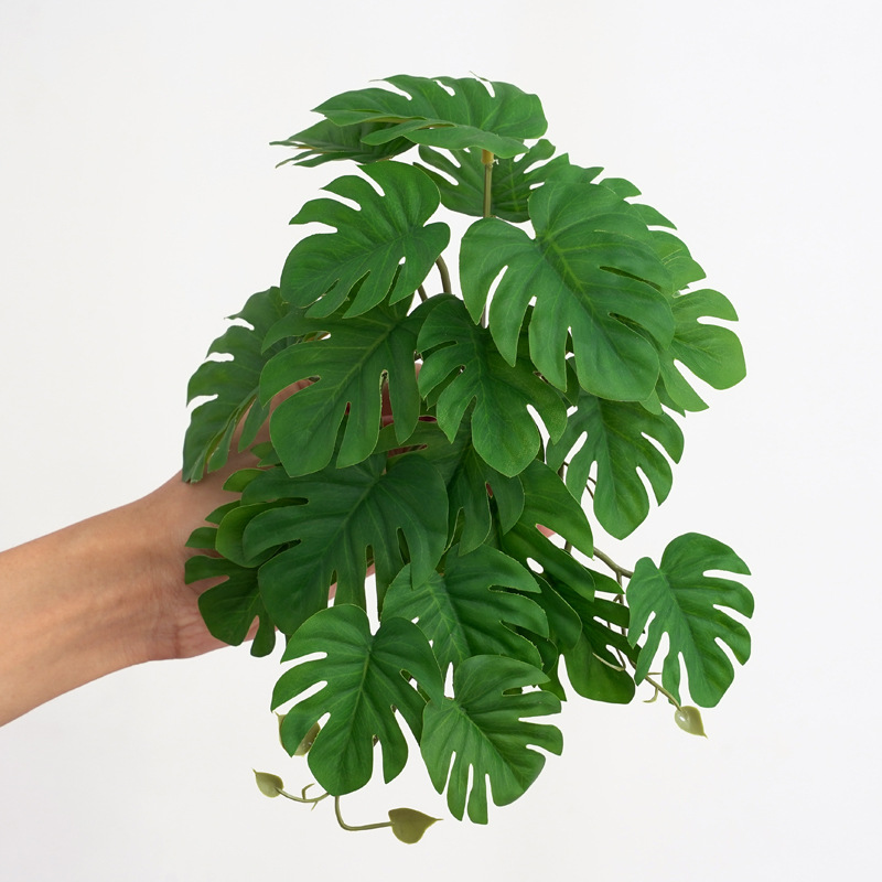 Teraryumlar için Yapay Asma Bi - Monstera Adansonii incelemesi ve fiyatı