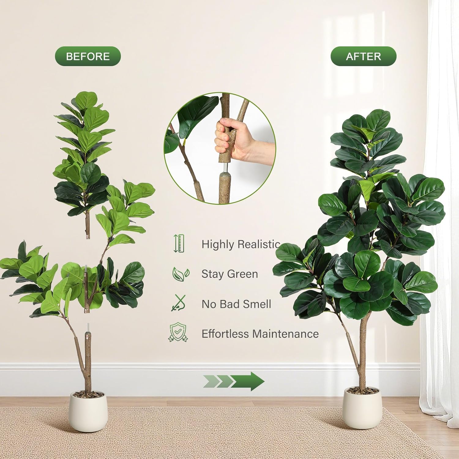 4-7 FT Fiddle Leaf Fig Ağacı Y - Ficus Lyrata Tree incelemesi ve fiyatı