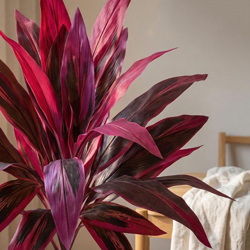 Büyük Yapay Dracaena Marginata - Dracaena Marginata incelemesi ve fiyatı