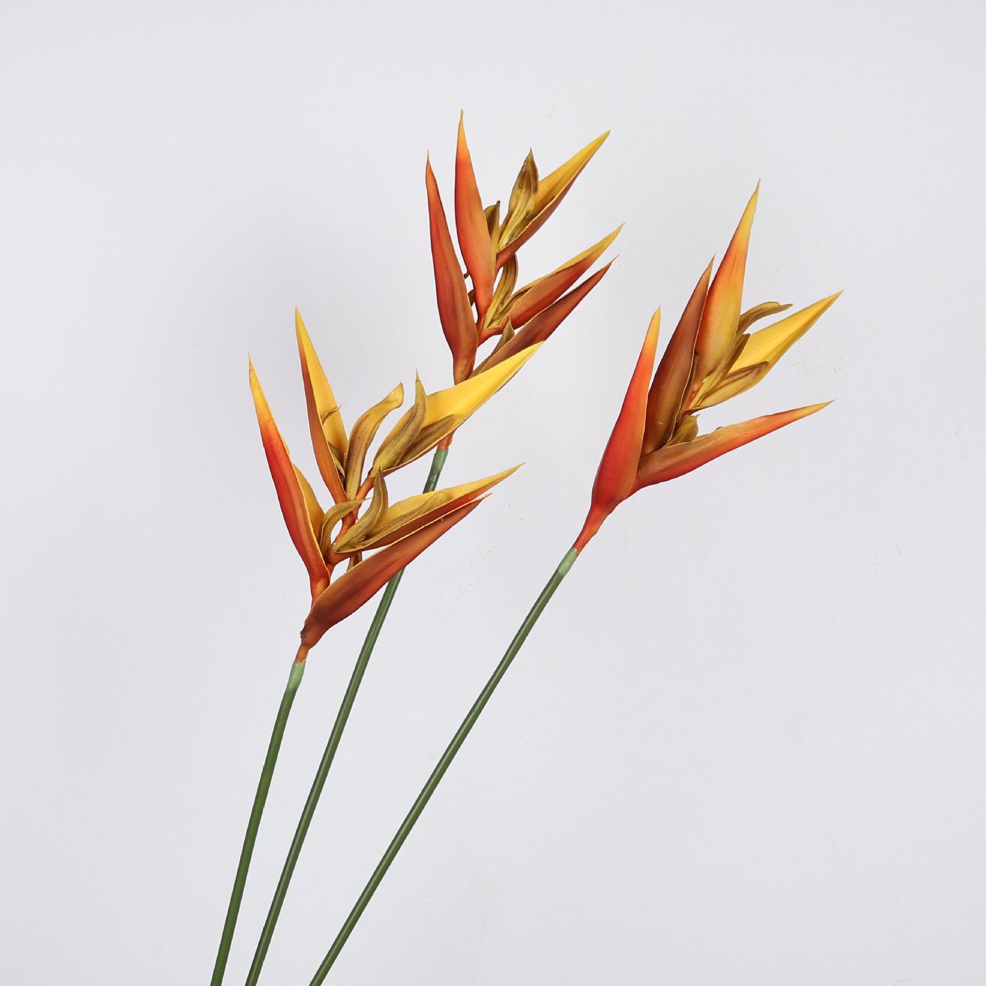 36,6 İnç Yapay Cennet Kuşu (St - Bird Paradise Strelitzia incelemesi ve fiyatı