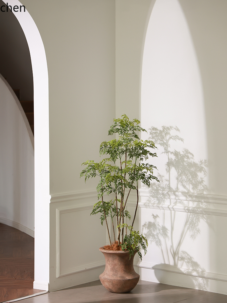 LYY Yer Vazosu Yeşil Bitki Yap - Ficus Lyrata Tree incelemesi ve fiyatı
