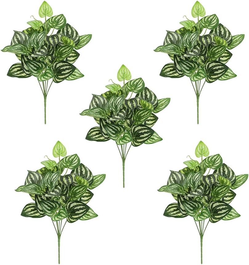 5 adet Karpuz Peperomia Yapay  - Peperomia Watermelon incelemesi ve fiyatı