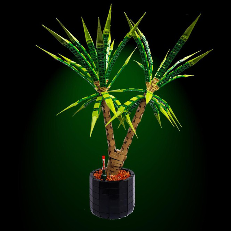1961 adet MOC Dracaena Margina - Dracaena Marginata incelemesi ve fiyatı