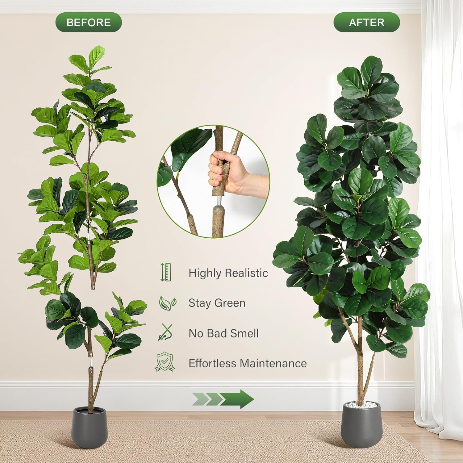 4FT/5FT/6FT/7FT Keman Yaprağı  - Ficus Lyrata Tree incelemesi ve fiyatı